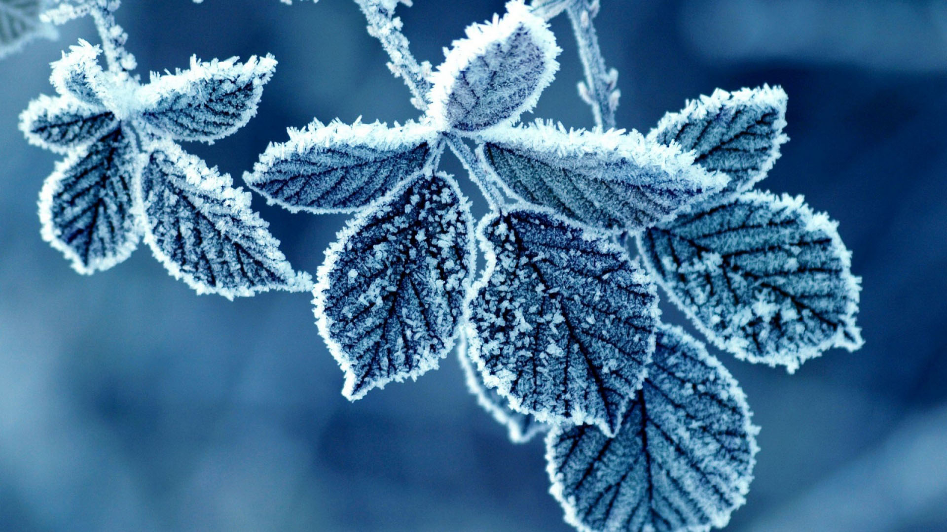 Những hình ảnh mùa đông đẹp nhất lạnh buồn và lãng mạn