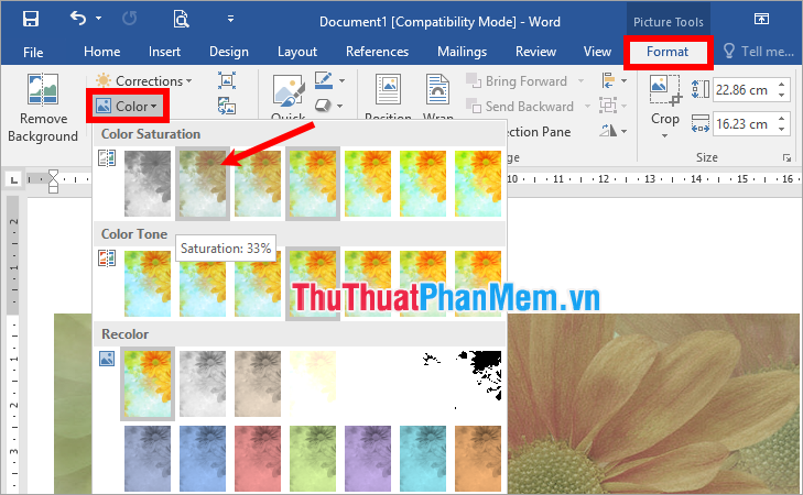 Làm mờ ảnh trong Word hoặc PowerPoint  Hỗ trợ của Microsoft