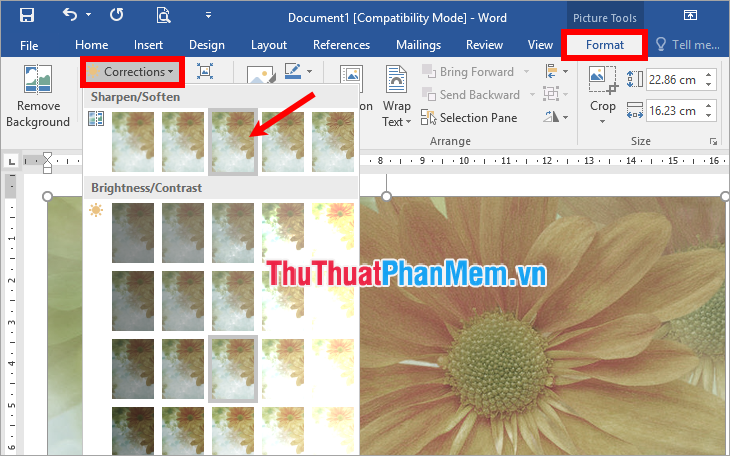 Chọn độ sáng tối