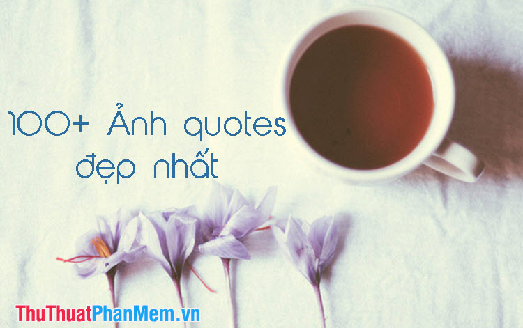 100+ Ảnh quotes chất và đẹp nhất