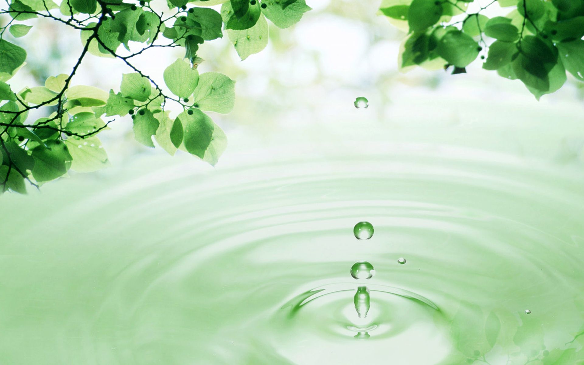 Background nước xanh lá cây