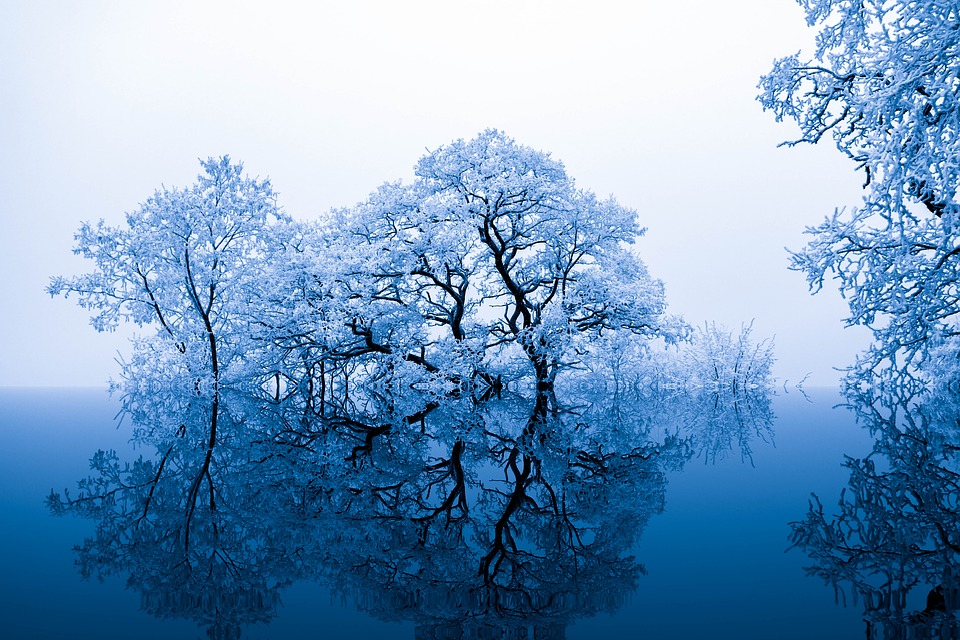 Background thiên nhiên mùa đông