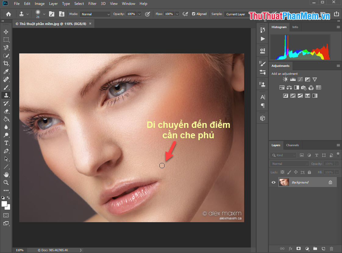 Hướng dẫn cách sử dụng Clone Stamp trong Photoshop