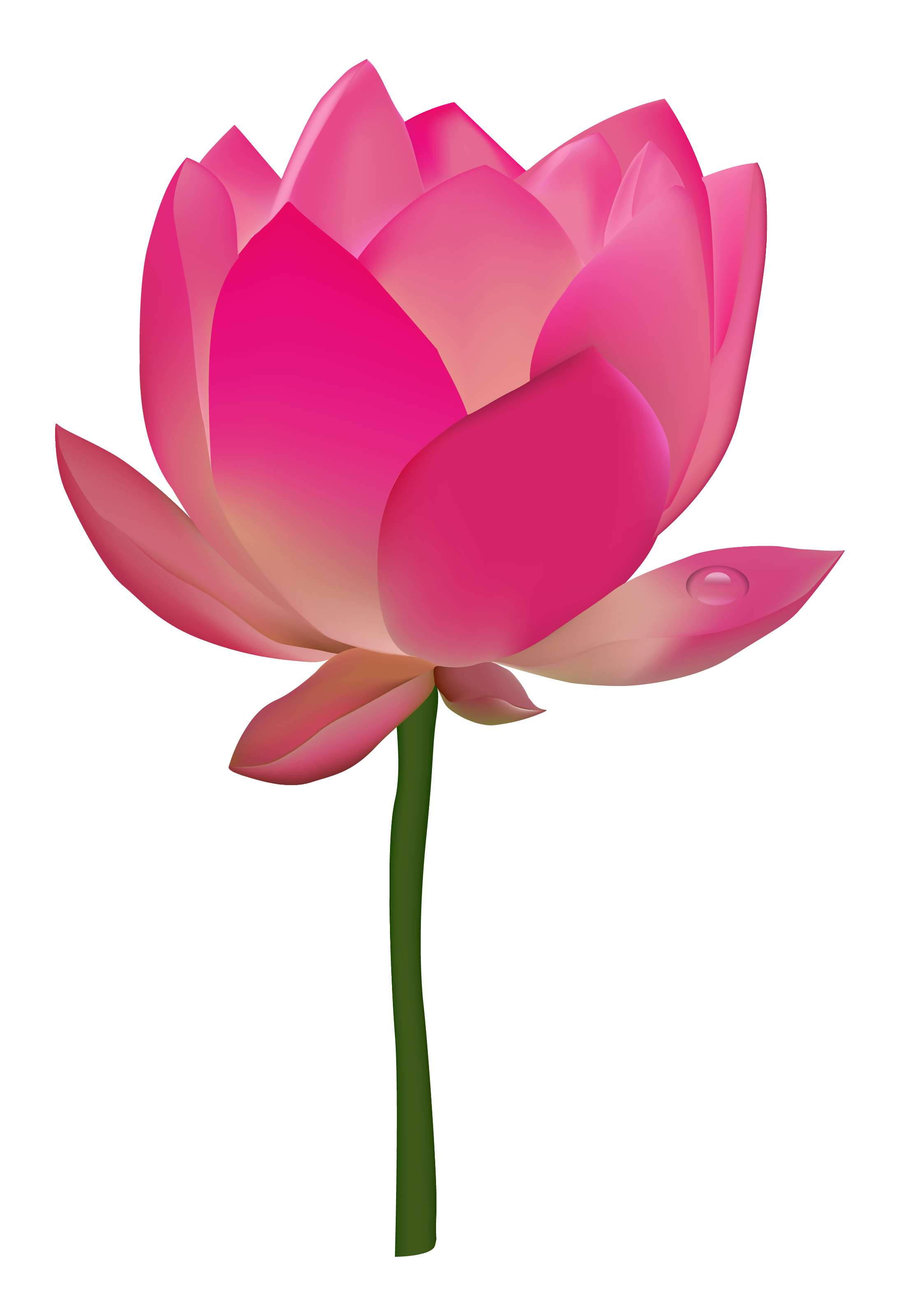 Hình ảnh biểu tượng bông hoa sen  PNG