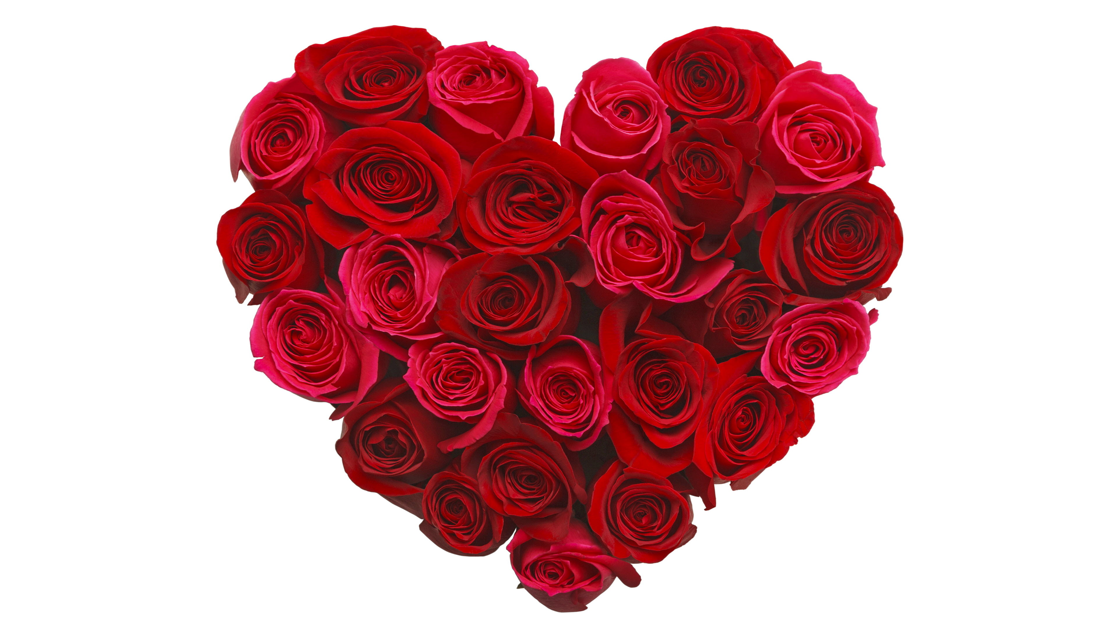 Hình nền trái tim hoa hồng