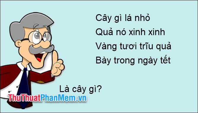 Cây gì lá nhỏ Quả nó xinh xinh