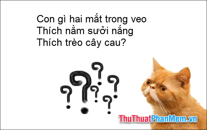 Con gì hai mắt trong veo