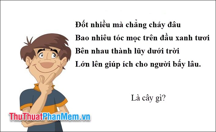 Đốt nhiều mà chẳng cháy đâu