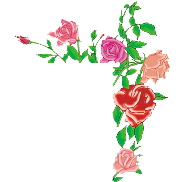 Background hoa hồng